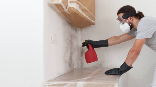 Professional Mold Inspection And Testing technician working in Milton, MA