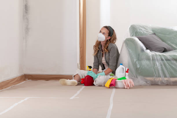 Reliable Mold Inspection And Testing contractor in Milton, MA by Car Mold Remediation